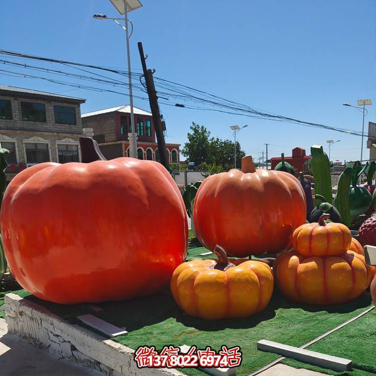 美麗鄉村，收獲美食——南瓜種植示范農場